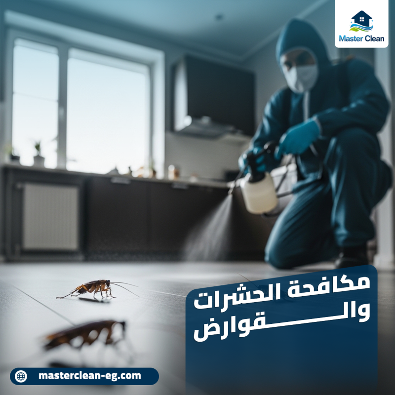 حشرات وقوارض